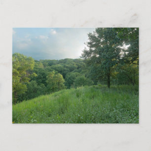 Cartes Pour Fêtes Annuelles Pine Bend Bluff Surplombant Vallée Bois