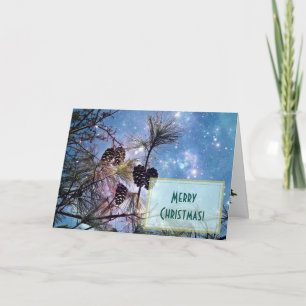 Cartes Pour Fêtes Annuelles Pine de Noël cônes sous un ciel étoilé