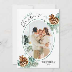 Cartes Pour Fêtes Annuelles Pine de Noël d'hiver Cônes de verdure Photo