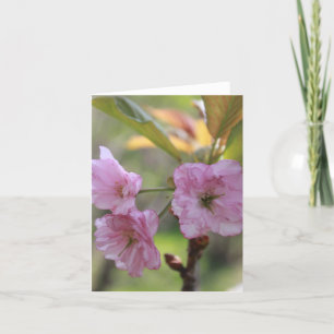 Cartes Pour Fêtes Annuelles Pink Apple Bloom In Spring Photo pour Maman