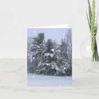 Cartes Pour Fêtes Annuelles Pins et neige tombante