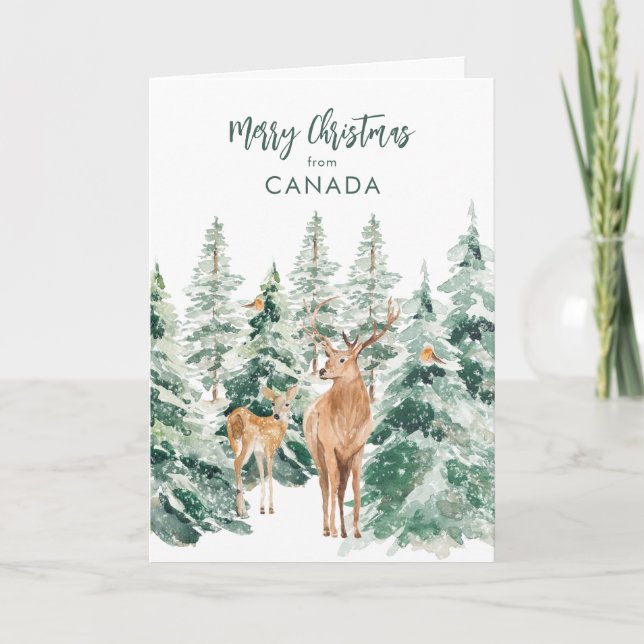 Cartes Pour Fêtes Annuelles Pins Joyeux Noël Du Canada Noël (Devant)