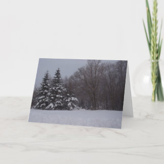 Cartes Pour Fêtes Annuelles Pins neigeux
