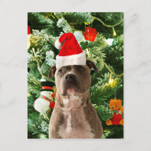 Cartes Pour Fêtes Annuelles Pitbull Chien Arbre de Noël Ornements Snowman