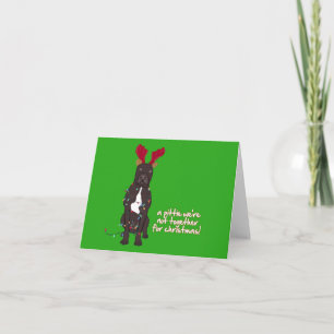 Cartes Pour Fêtes Annuelles pittiexmas 5x7
