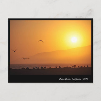 Cartes Pour Fêtes Annuelles Plage de Zuma, la Californie