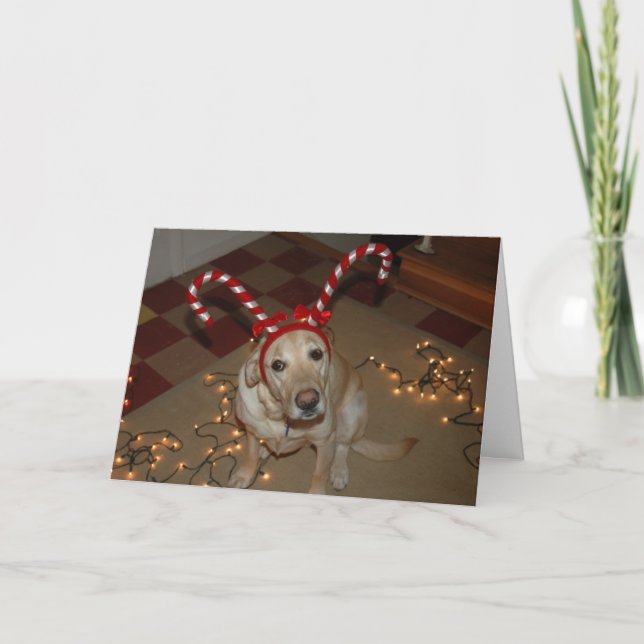Cartes Pour Fêtes Annuelles Plaisir de Noël ! (Devant)