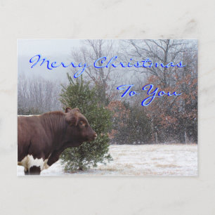 Cartes Pour Fêtes Annuelles PLB Joyeux Noël-personnaliser