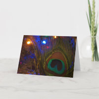 Plume de Noël de paon