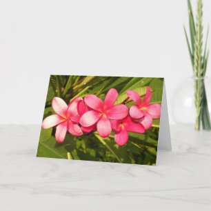 Cartes Pour Fêtes Annuelles Plumeria