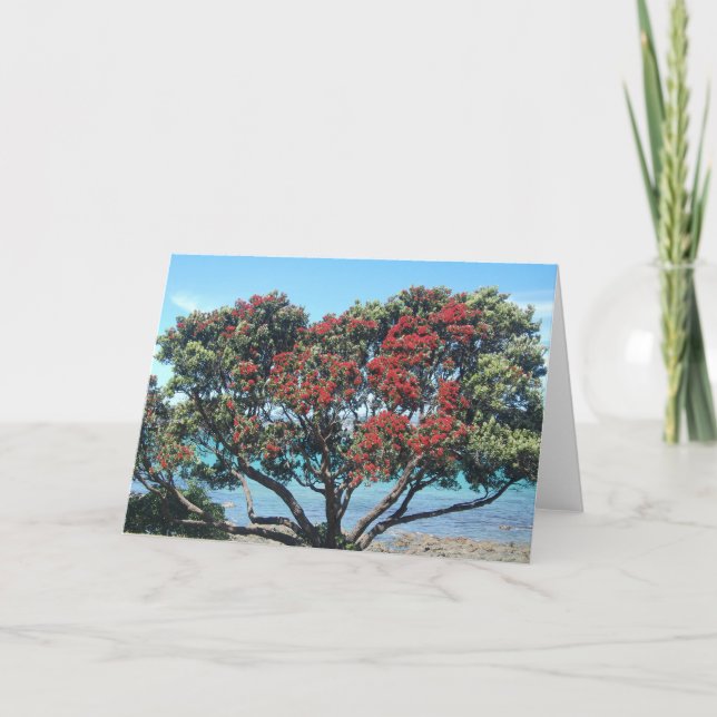 Cartes Pour Fêtes Annuelles Pohutukawa tree on beach (Devant)