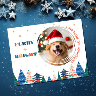 Cartes Pour Fêtes Annuelles Poilu & Brillant Photo de Chien Mignon