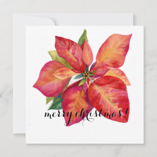 Cartes Pour Fêtes Annuelles Poinsettia Christmas Card