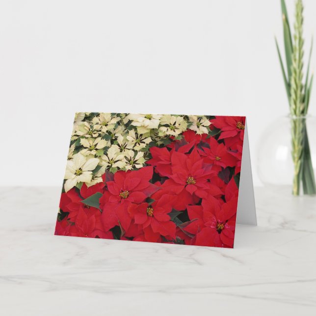 Cartes Pour Fêtes Annuelles Poinsettias blanches et rouges I Holiday Floral (Devant)