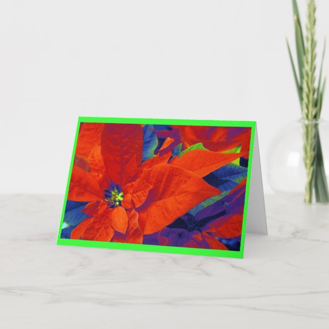 Cartes Pour Fêtes Annuelles Poinsettias de Noël (Devant)