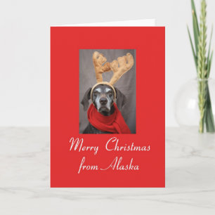 Cartes Pour Fêtes Annuelles Pointeur de rennes de l'Alaska merry x mas