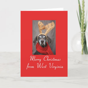 Cartes Pour Fêtes Annuelles Pointeur de rennes de Virginie-Occidentale x mas