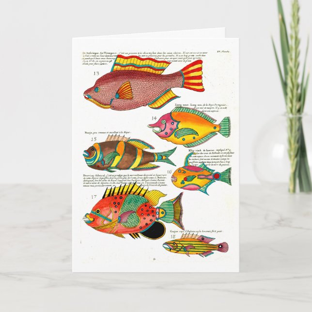 Cartes Pour Fêtes Annuelles Poisson neutre et amis (Devant)