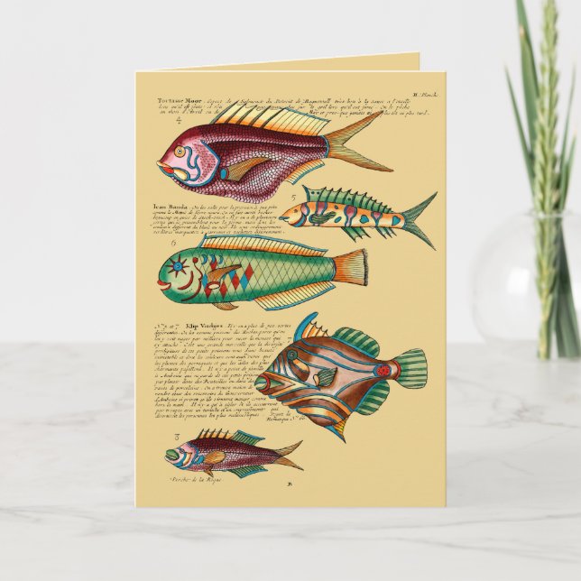 Cartes Pour Fêtes Annuelles Poisson rouge et amis (Devant)