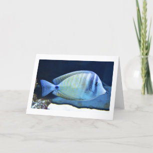 Cartes Pour Fêtes Annuelles Poisson tropical
