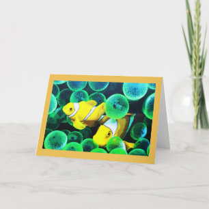 Cartes Pour Fêtes Annuelles Poisson tropical jaune à Madère