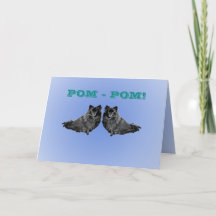 POM - POM