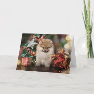 Cartes Pour Fêtes Annuelles Poméranie Spitz, Chiot de Noël