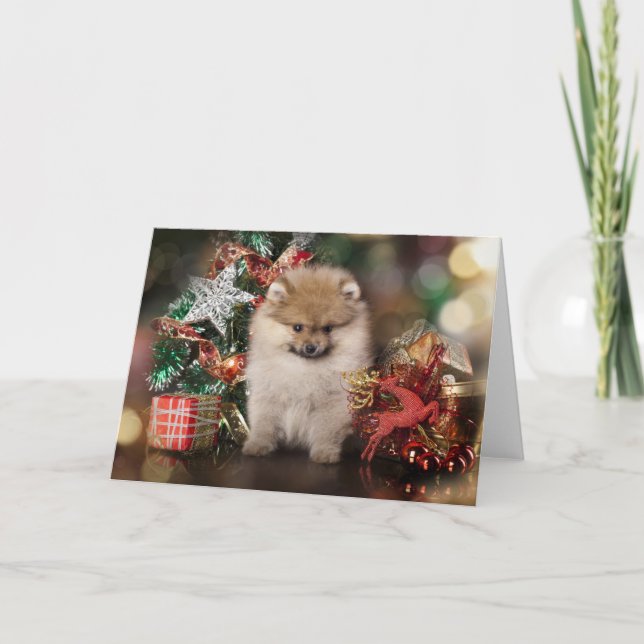 Cartes Pour Fêtes Annuelles Poméranie Spitz, Chiot de Noël (Devant)