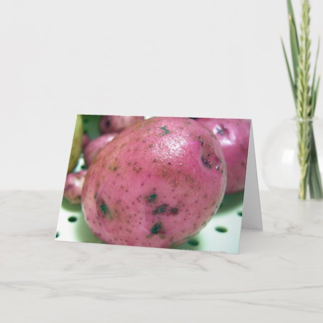Cartes Pour Fêtes Annuelles Pomme de terre rouge Norland (Devant)