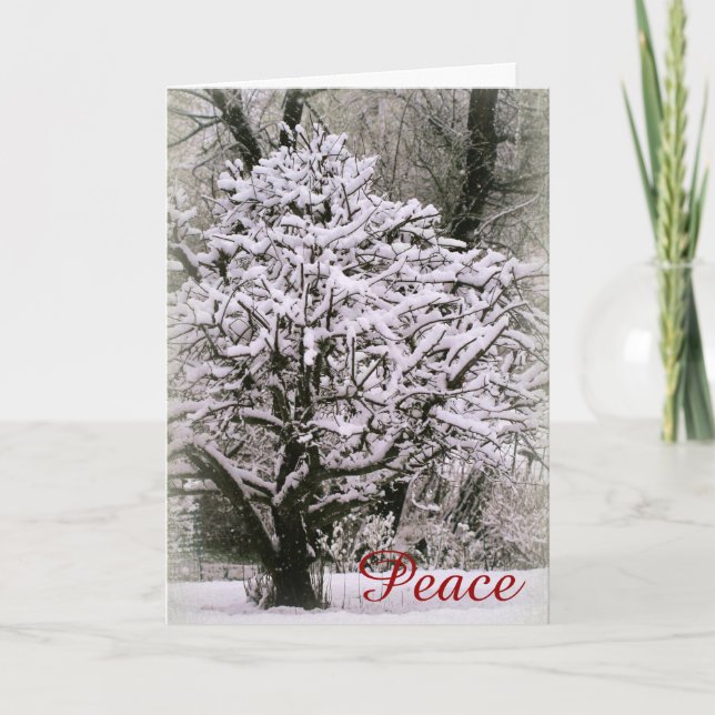 Cartes Pour Fêtes Annuelles Pommier couvert de neige (Devant)