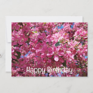 Cartes Pour Fêtes Annuelles Pommier en fleurs. Fleurs roses. Joyeux anniversai