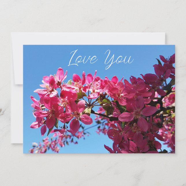 Cartes Pour Fêtes Annuelles Pommier en fleurs. Fleurs roses. Vous aimez (Devant)