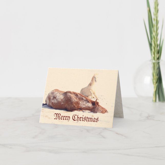 Cartes Pour Fêtes Annuelles Ponies d'hiver dans la neige (Devant)