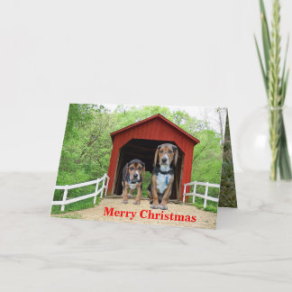 Cartes Pour Fêtes Annuelles Pont couvert rouge Beagle amusant Noël