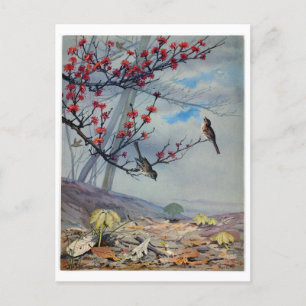 Cartes Pour Fêtes Annuelles Ponts Fidelia