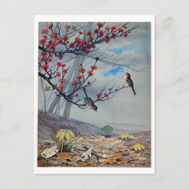 Cartes Pour Fêtes Annuelles Ponts Fidelia (Devant)