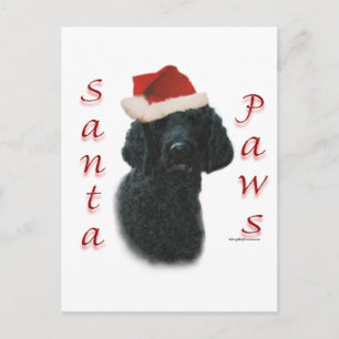 Cartes Pour Fêtes Annuelles Poodle Père Noël Paws