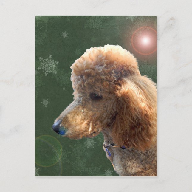 CARTES POUR FÊTES ANNUELLES POODLE POUR LES VACANCES (Devant)