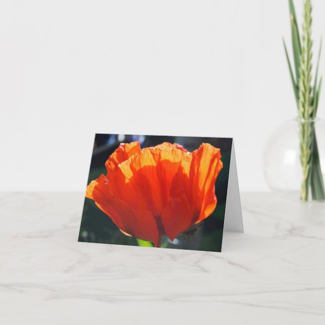 Cartes Pour Fêtes Annuelles Poppy du ciel (Devant)