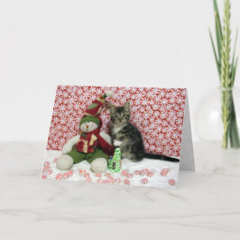 Cartes Pour Fêtes Annuelles Portrait de Noël de Bandit - Chat / Kitten