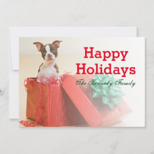 Cartes Pour Fêtes Annuelles Portrait d'un Boston Terrier blanc et marron