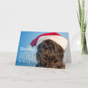 Cartes Pour Fêtes Annuelles Portrait principal de terrier de cairn