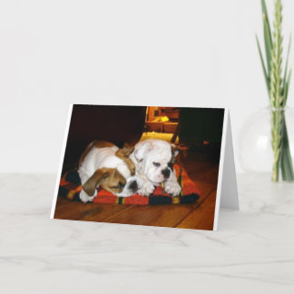 Cartes Pour Fêtes Annuelles Pose de vacances Lily et Ziggy