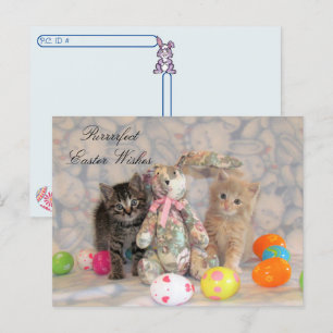 Cartes Pour Fêtes Annuelles Post-croisement - Patton et Buffington Pâques Cat