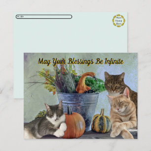 Cartes Pour Fêtes Annuelles Postcrossing Tito Taz & Annie's 2025 Action de grâ