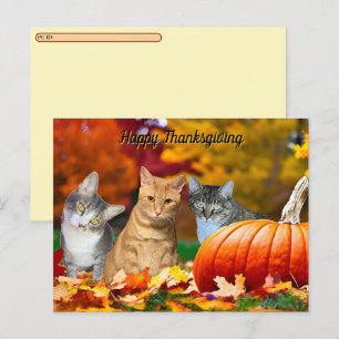 Cartes Pour Fêtes Annuelles Postcrossing Tito, Taz & Annie's Thanksgiving 2025