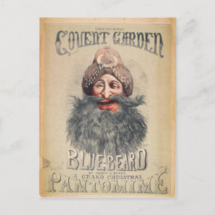 Cartes Pour Fêtes Annuelles Poster pour un pantomime de Noël