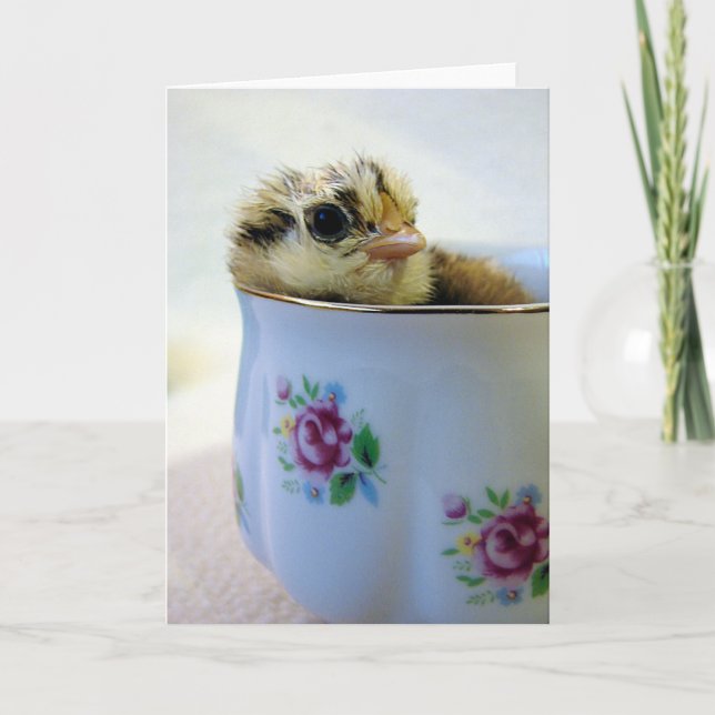 Cartes Pour Fêtes Annuelles Poule aux oeufs de Pâques en coupe (Devant)