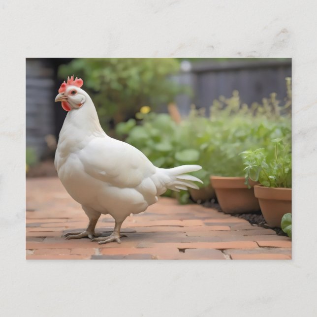 Cartes Pour Fêtes Annuelles Poulet Cornis blanc sur patio (Devant)