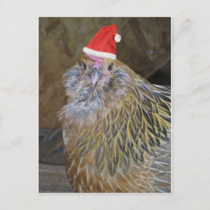 Cartes Pour Fêtes Annuelles Poulet de Noël